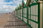 Cayeux-sur-mer - Cabines de plage